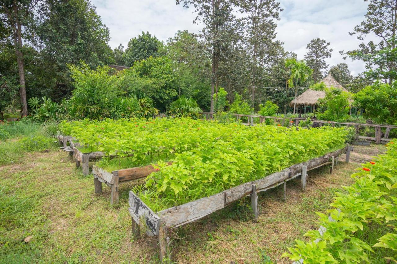 Bong Thom Forest Lodge Сием Реап Екстериор снимка